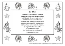 Der-Stern-Busch.pdf